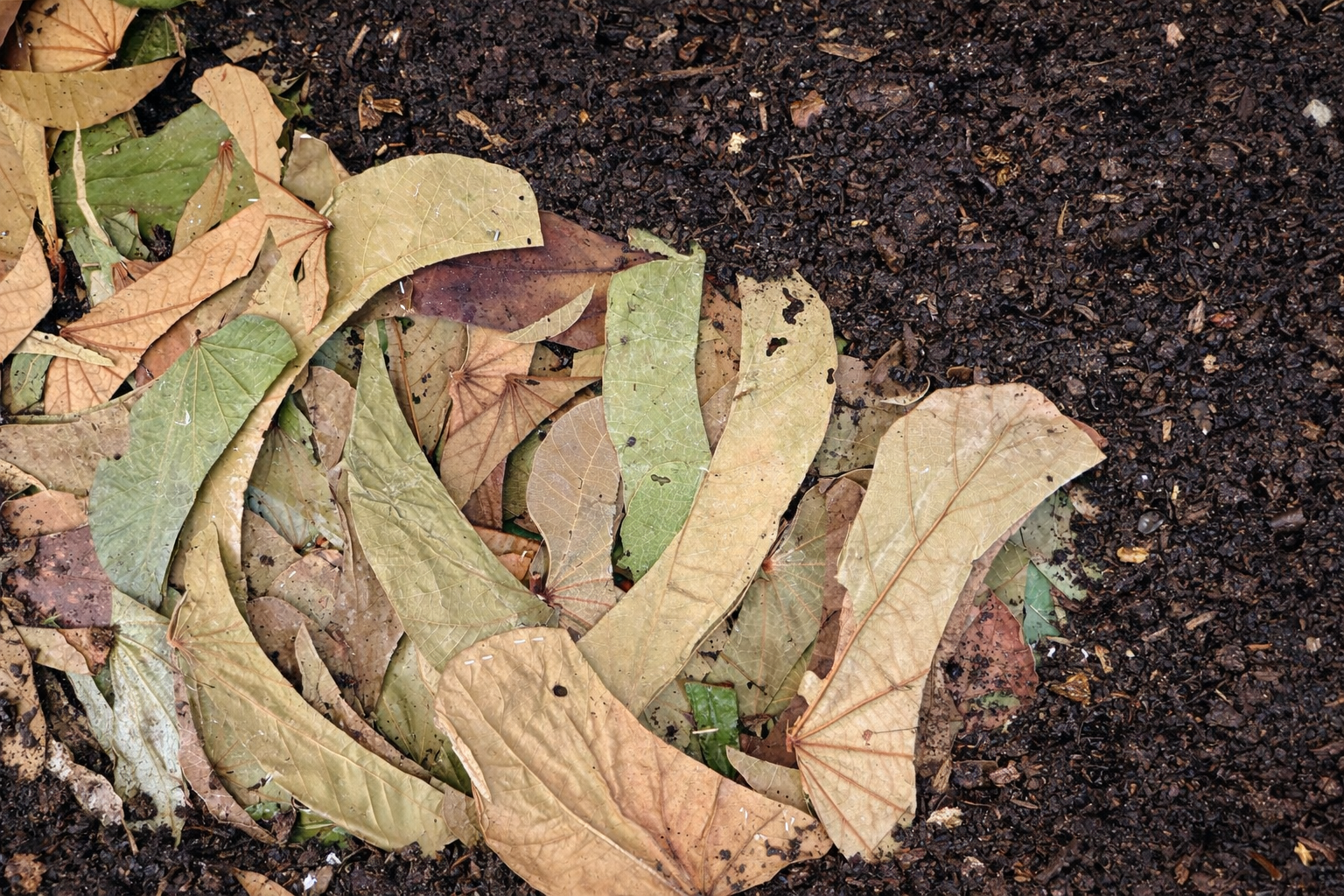 Leaf Waste Compost